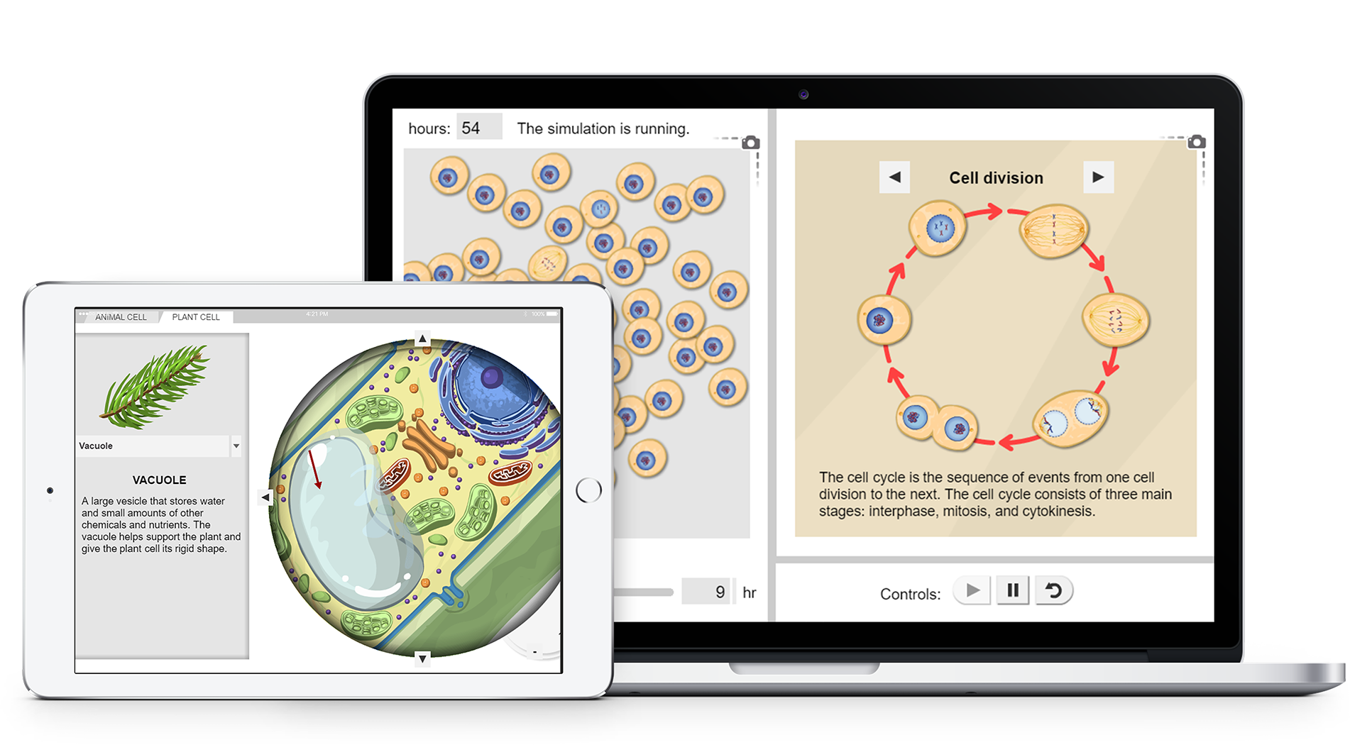 Teaching Cell Biology ExploreLearning Gizmos